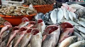 أسعار الأسماك في سوق العبور اليوم السبت 29 نوفمبر 2025